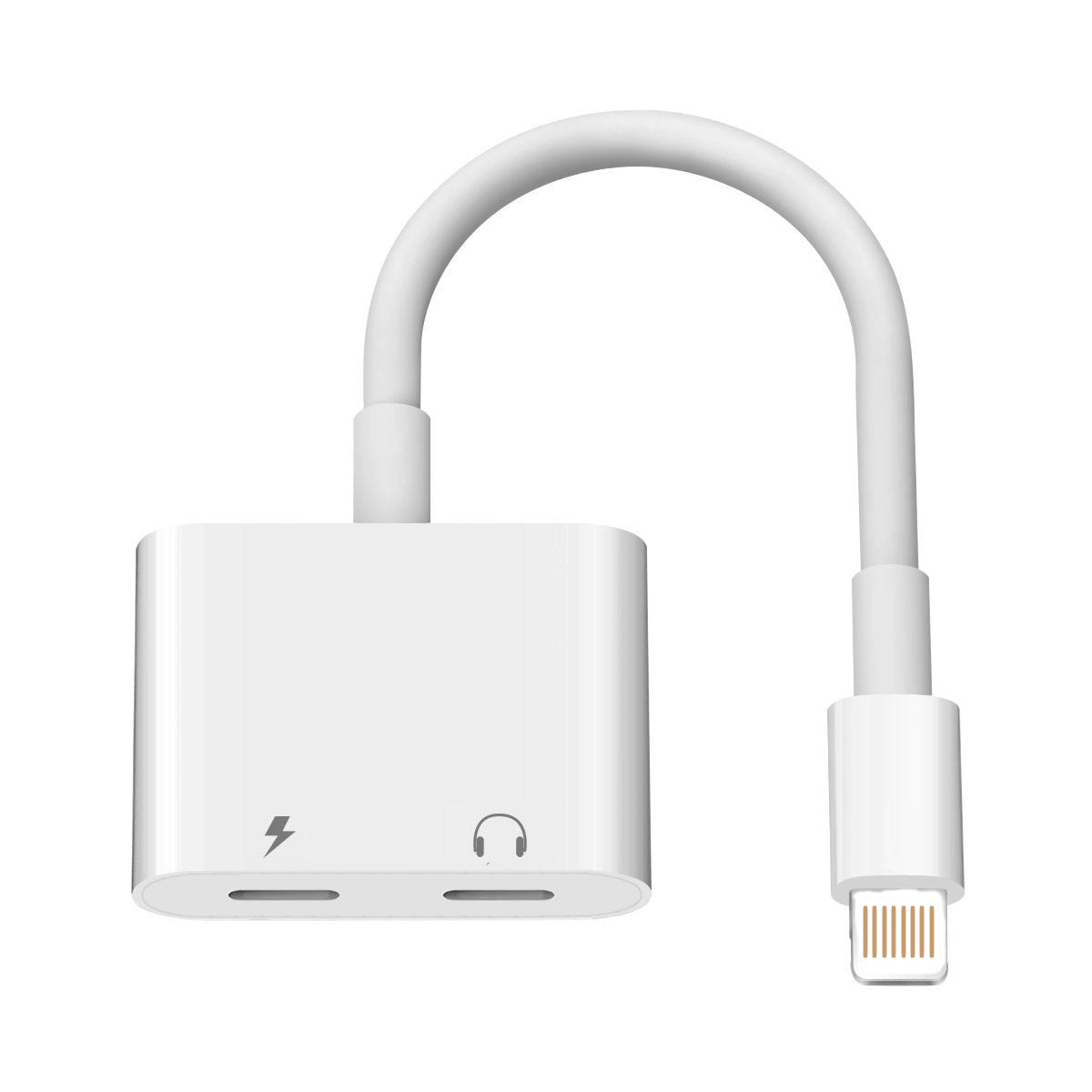 Dual Lightning Audio & Charging Adapter for Apple iPhone 7/8/X/XS ...